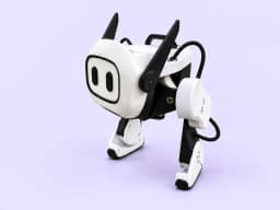 Qmini